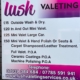 lush valeting graphics